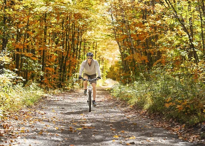 T Kaatsheuveltje 2 Dom wakacyjny