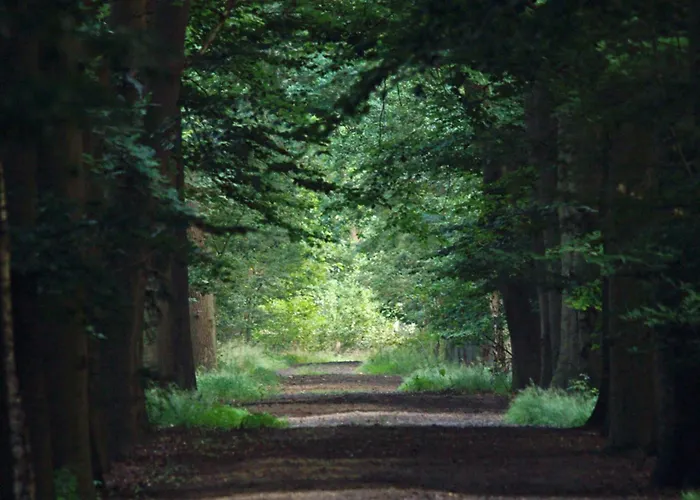 Hébergement de vacances T Kaatsheuveltje 2